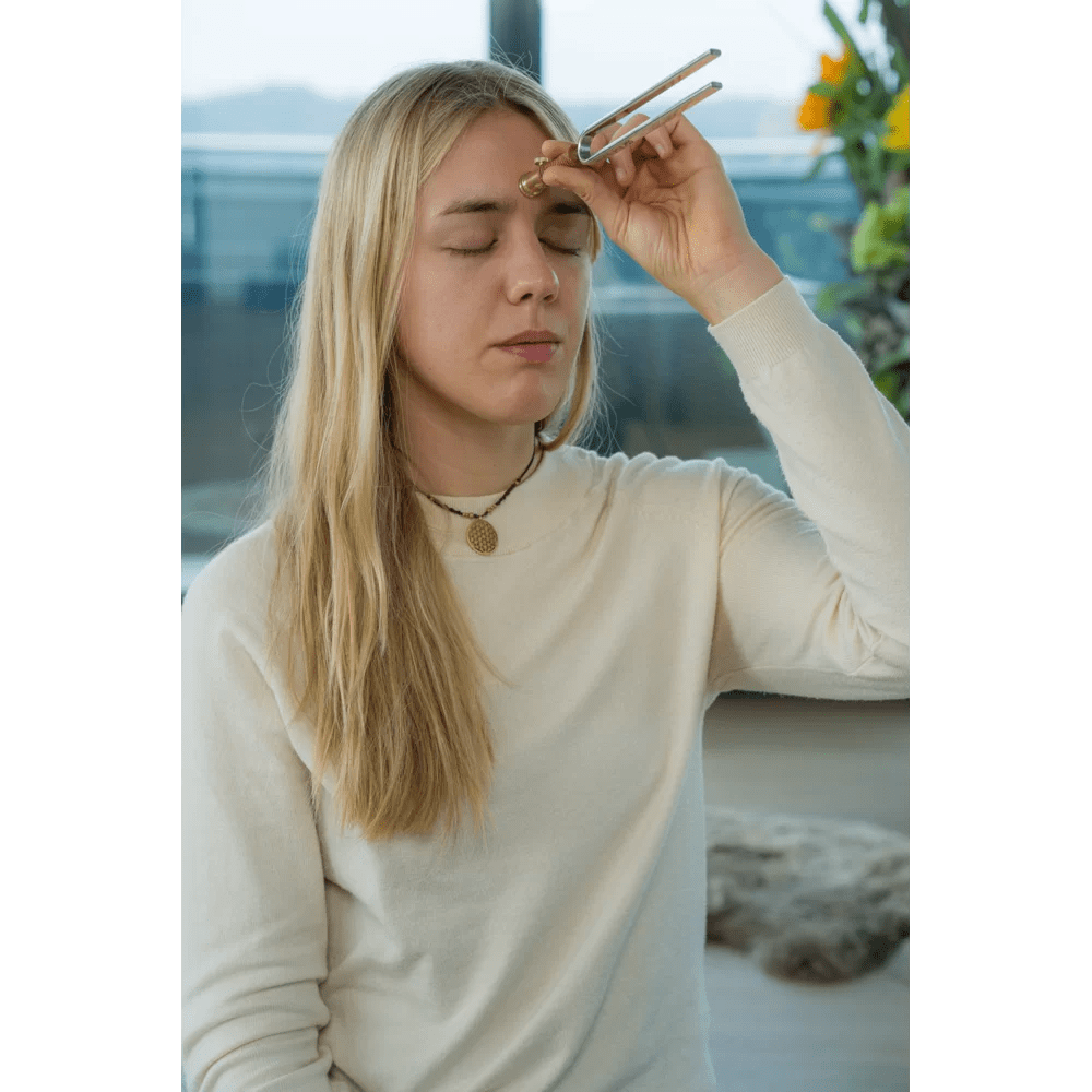 Accessori Diapason: piedino piatto piccolo - VibraSonic